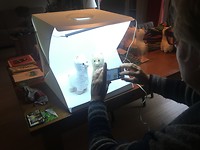Lama's in de fotostudio