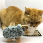 Poes Looky met Sheepie van Little Blue Sheep