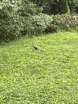 B37D3413-68E3-4947-A51E-F43668E67341