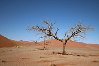 Sossusvlei