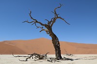 Deadvlei