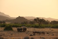 Brandberg - Damaraland