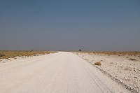 Dwars door de Etosha Pan