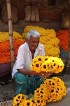 Malik Ghat bloemenmarkt