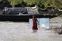 Sundarbans