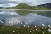 Landmannalaugar