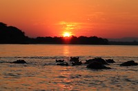 Lower Zambezi - sundowner
