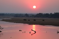 South Luangwa - sundowner