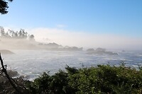 Wild Pacific Trail