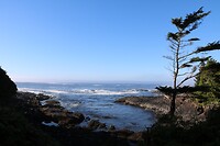 Wild Pacific Trail