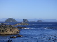 Wild Pacific Trail
