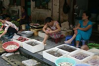 Hanoi - straatleven Old Town