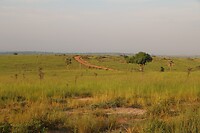 Murchison Falls NP