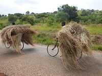 Op weg naar Fort Portal