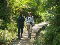 Bigodi Wetland Sanctuary