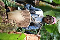 Batwa tradities