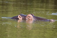 Lake Mburo NP