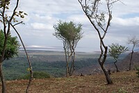 Lake Manyara NP