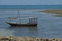 Zanzibar