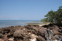 Zanzibar
