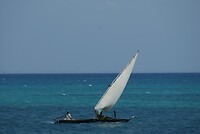 Zanzibar