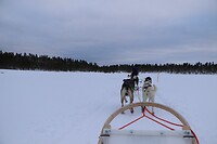 Huskysleetocht
