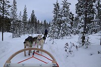 Huskysleetocht
