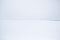 Whiteout