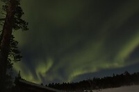 Noorderlicht