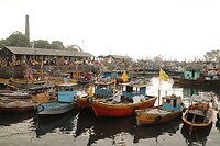 Sassoon Dock vismarkt