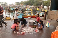 Sassoon Dock vismarkt