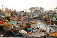 Sassoon Dock vismarkt