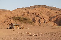 Dana Biosphere Reserve
