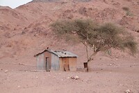 Dana Biosphere Reserve