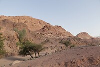 Dana Biosphere Reserve