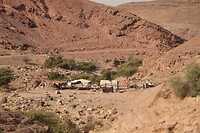 Dana Biosphere Reserve