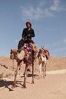 Petra - Kamelendrijver