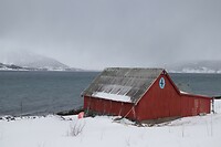Rorbu aan het fjord