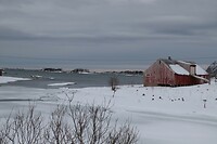 Rorbu