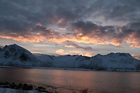 Tungeneset