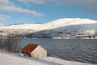 Rorbu