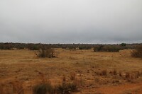 Welgevonden Game Reserve