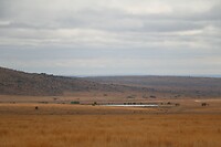 Welgevonden Game Reserve