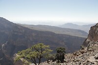 Balcony walk - Jebel Shams