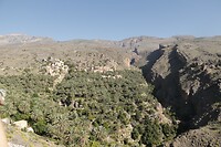 Balcony Walk Jebel Shams