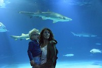 Oceanografic