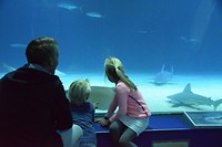 Oceanografic 2