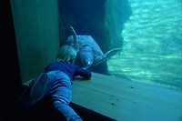 Oceanografic 4