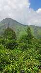 Uitzicht vanaf Little Adam’s Peak
