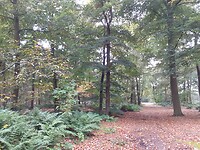 20211014_104024